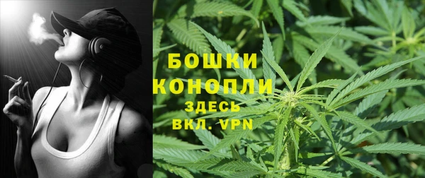 бошки Арсеньев