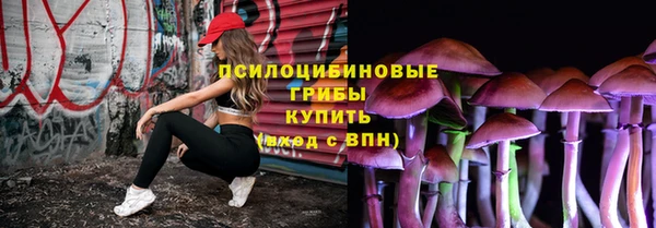 гашик Армянск