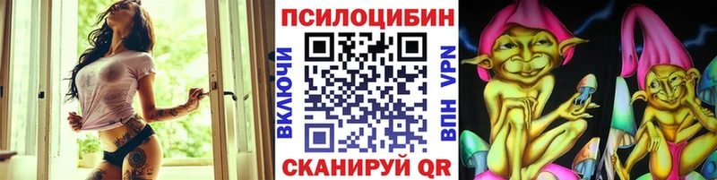 Купить закладки  Вышний Волочёк  Галлюциногенные грибы Psilocybine cubensis 