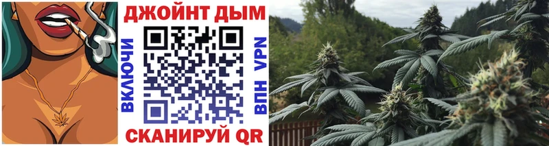 Канабис семена  Купить где  Вышний Волочёк 